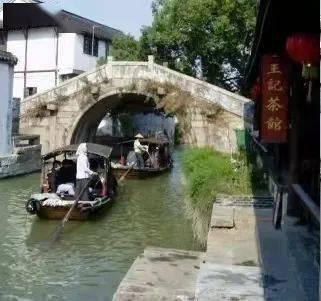 植物大战僵尸7